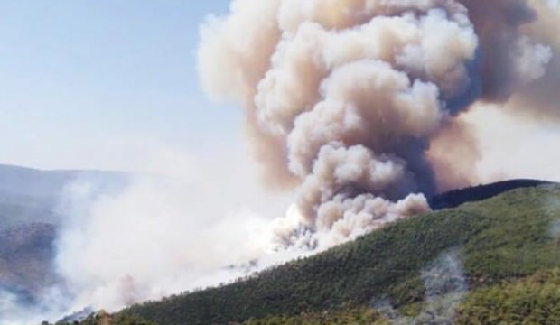 PKK orman yangınlarını üstlendi!