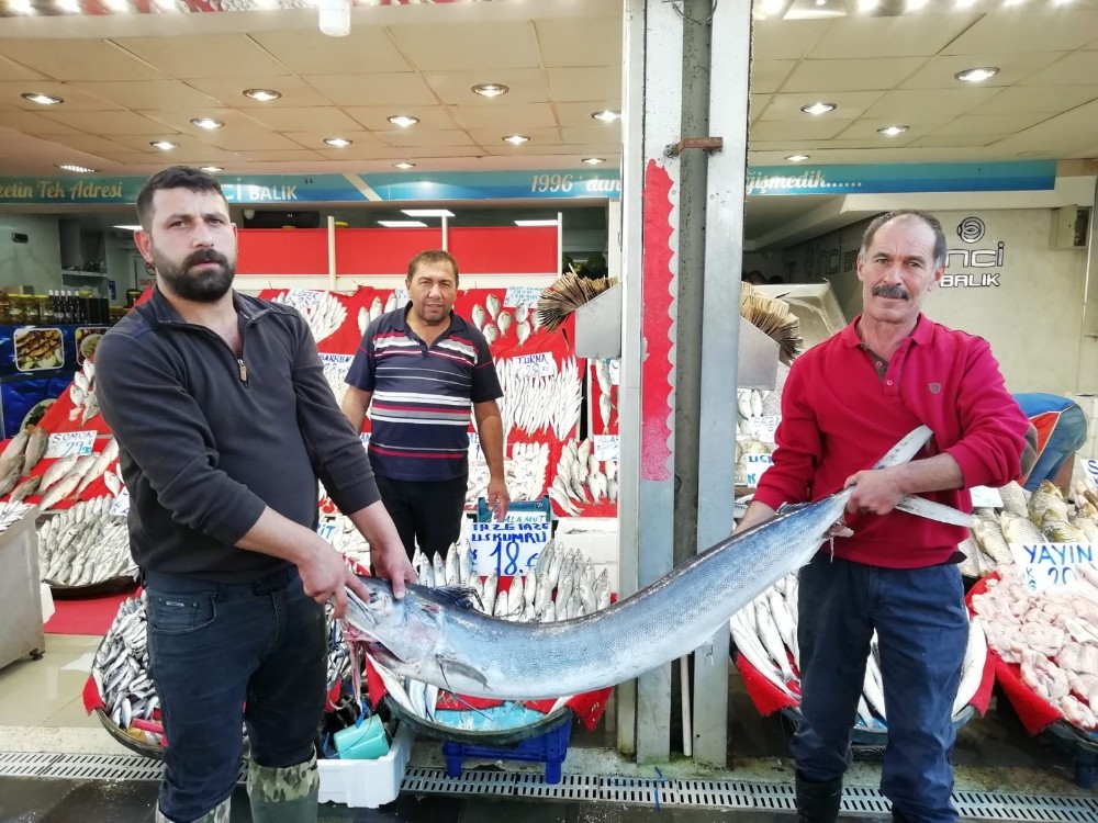 "Kalbe iyi gelen omega 3 kaynağı hamsi, bu sene hem bol hem de iri olacak”