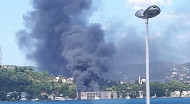 Beykoz'da orman yangını