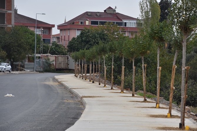 Pendik'te cadde ve sokaklar yeşile bürünüyor