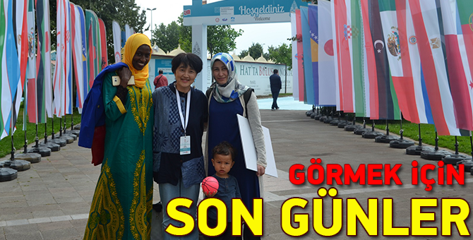 Görmek İçin Son Günler