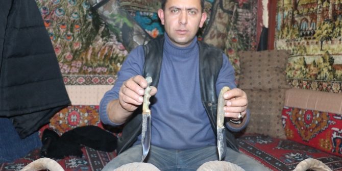 Kasaplardan toplanan boynuzlar, bıçak sapına dönüşüyor