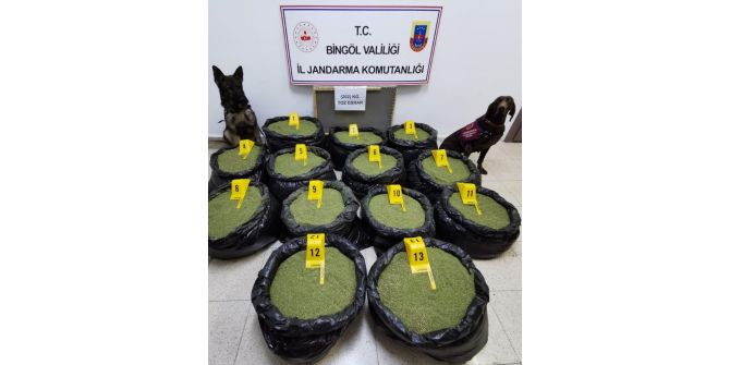 Bingöl’de jandarma, 202 kilo toz esrar ele geçirildi