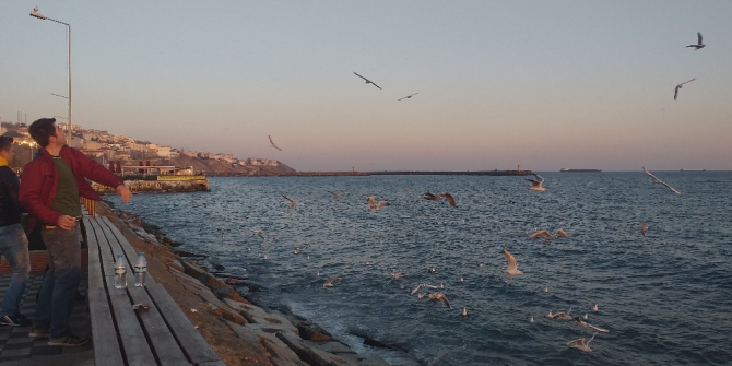Martılar simit kapmak için havada yarıştı
