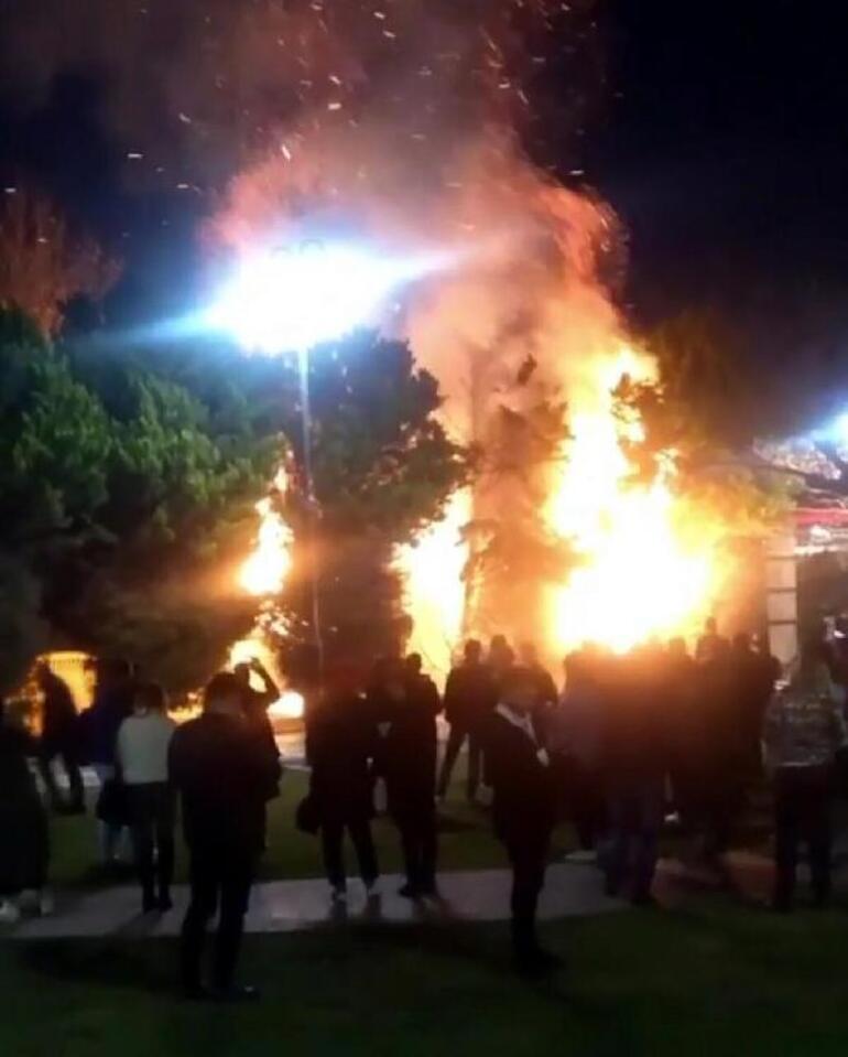 İzmir'deki ağaçlar, kimliği belirlenemeyen kişi tarafından yakıldı