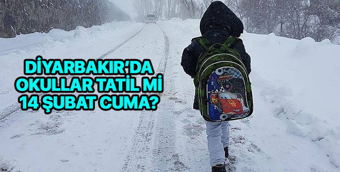 Diyarbakır'da okullar tatil mi 14 Şubat 2020? Diyarbakır Cuma kar tatili var mı?