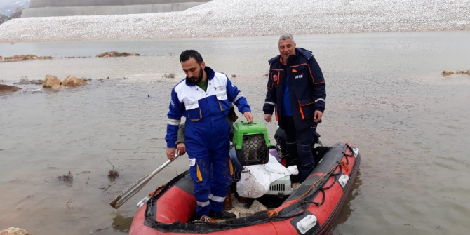 Tarihi Hasankeyf’te ölüme terk edilen hayvanlar kurtarıldı