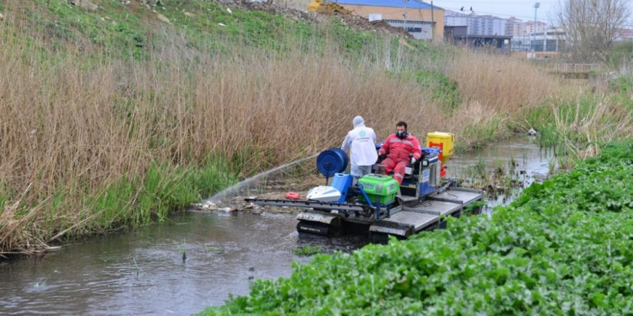 Larva, uçkun ve sinekle mücadele