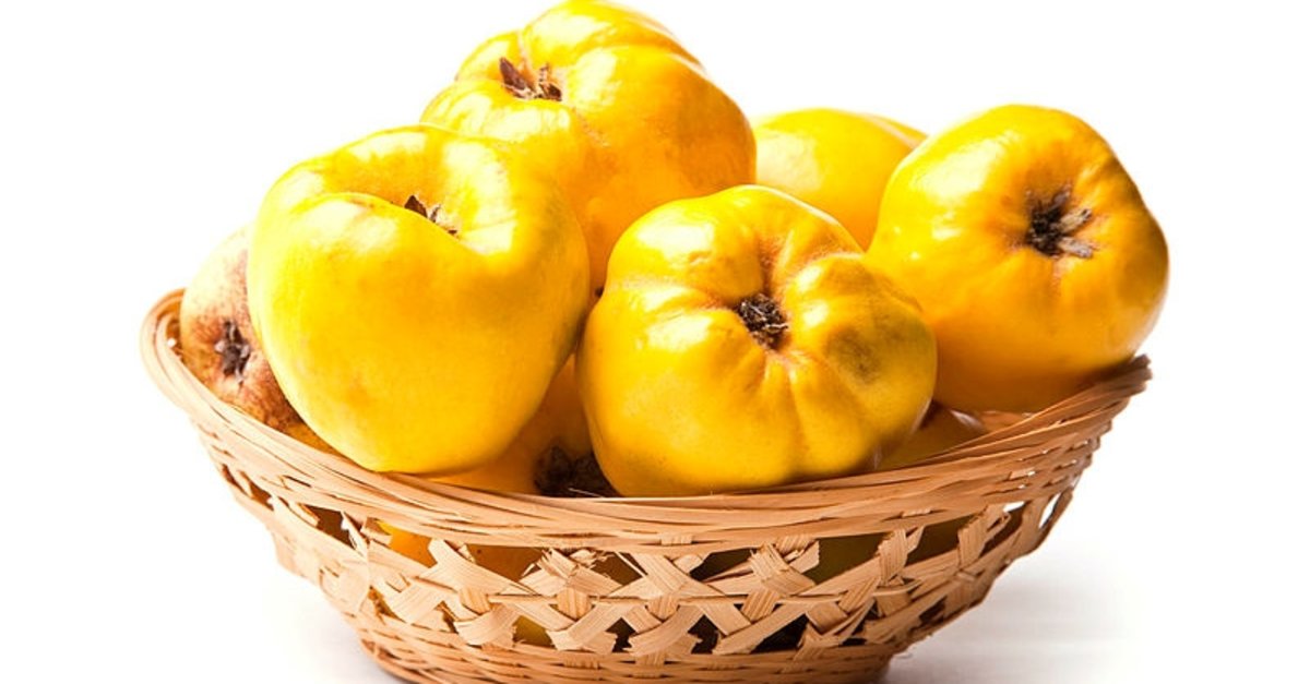 Rüyada Ayva Toplamak / Rüyada Ayva Görmek Tabiri