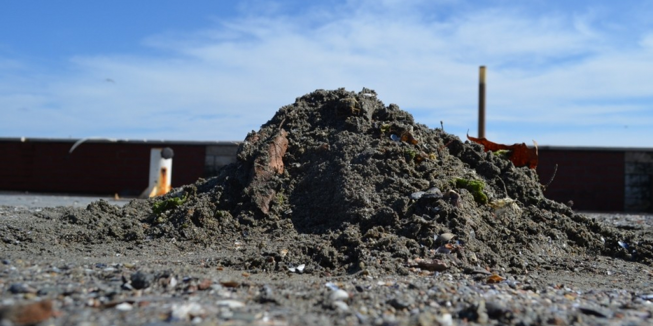 Dev dalgalardan geriye kum ve midye tepecikleri kaldı