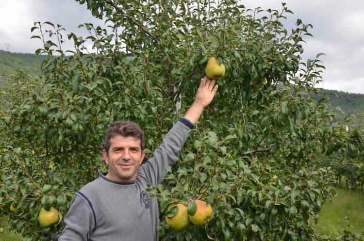 Rüyada Bıyık Kesmek, Bıyık Görmek Tabirleri