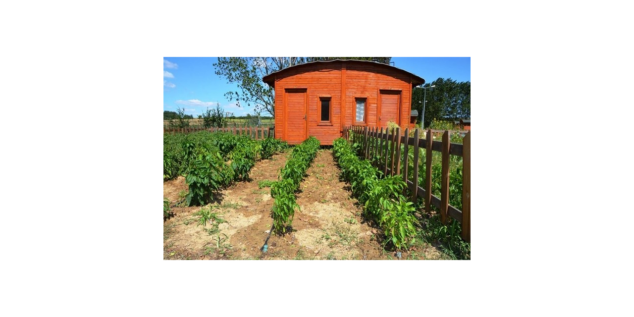 Hobi Bahçeleri sahiplerini çevrimiçi kura çekimi ile bulacak