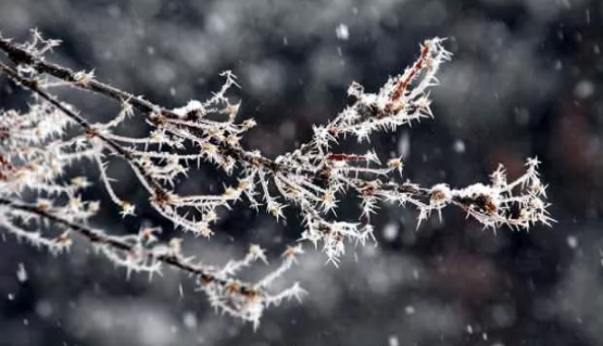 Meteorolojiden o iller için kar ve fırtına uyarısı