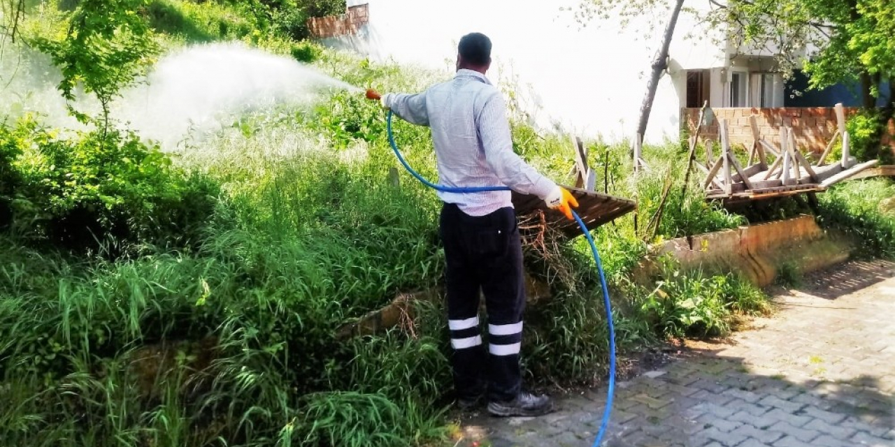 Süleymanpaşa’da yaza hazırlık