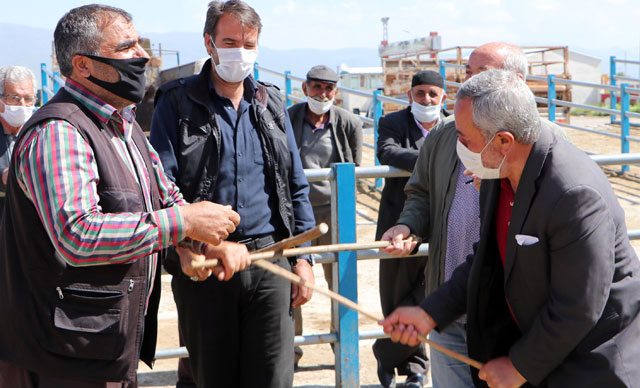 Hayvan pazarında 'Sopalı pazarlık' dönemi başladı!