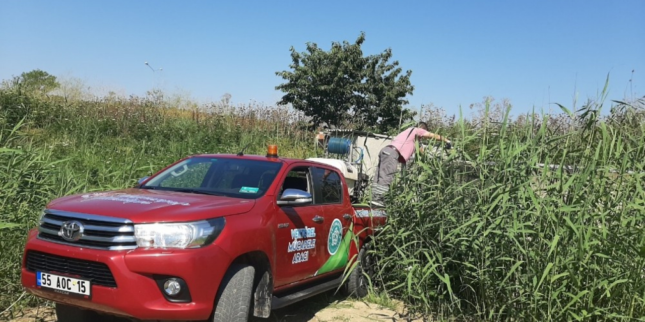 Şehrin her noktası ilaçlanıyor