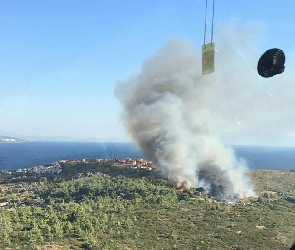 İzmir'de orman yangını! Araçlar alevlere teslim oldu