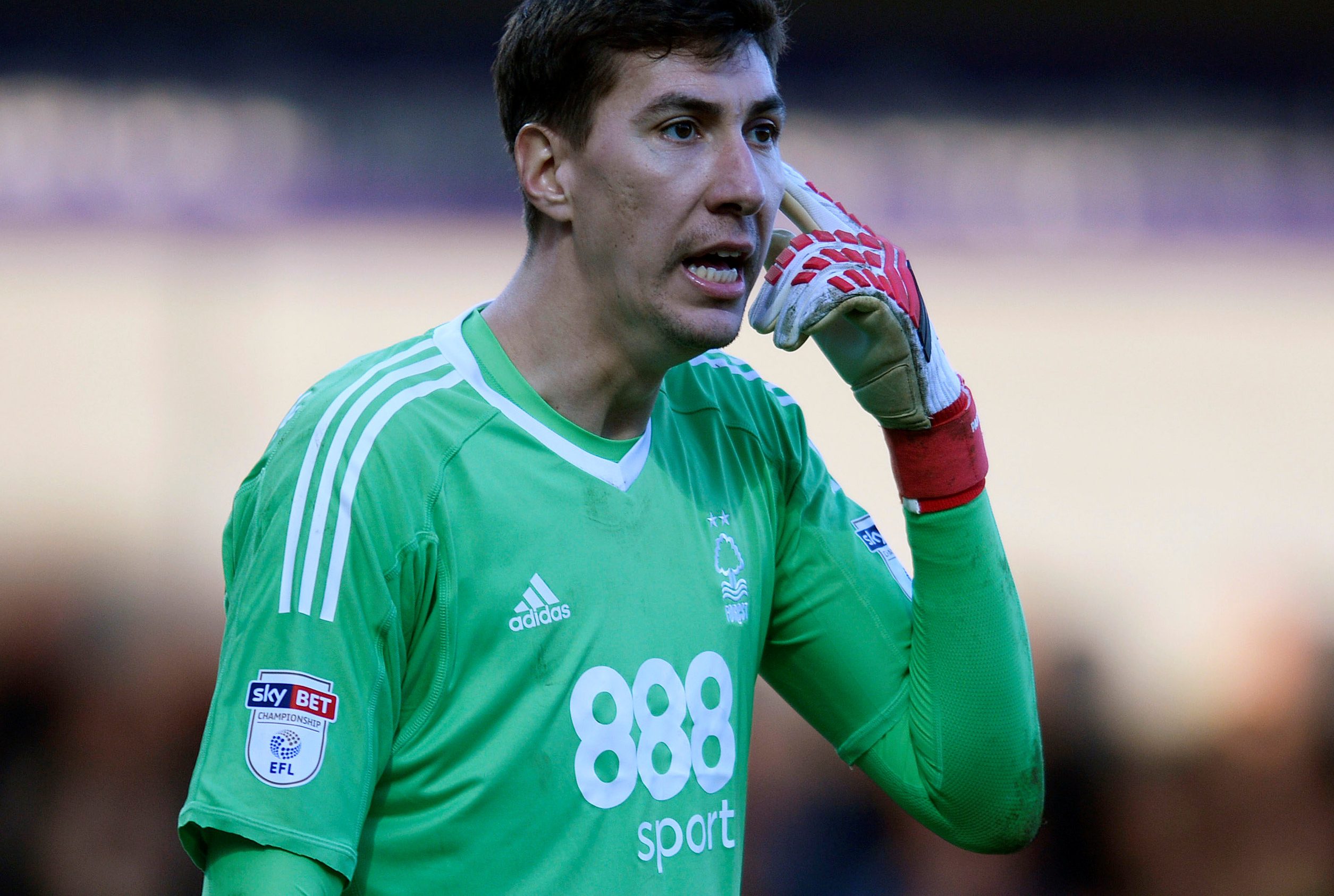 Costel Pantilimon, Denizlispor'da!