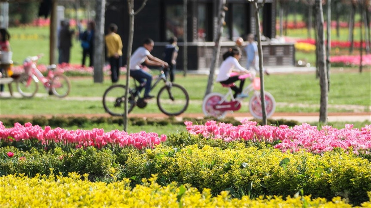 Meteoroloji açıkladı! Bugün sıcaklıklar mevsim normallerinde seyredecek