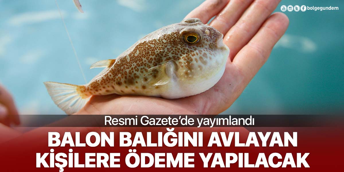 Resmi Gazete'de yayımlandı! Balon balığının kuyruğunu getiren 5 TL ödeme yapılacak