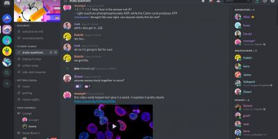 Discord çöktü mü? Discord açılmıyor | Neden açılmıyor?