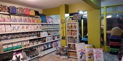 Sokağa çıkma yasağında petshoplar açık mı 2021?