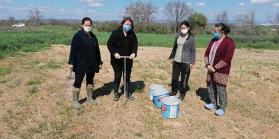 Kadın üreticiler kursta öğrendiklerini tarlalarında uyguluyor