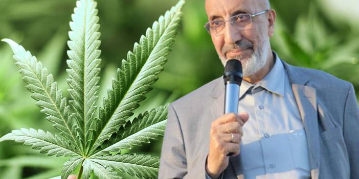 Abdurrahman Dilipak'ın istediği oldu! Rize'de kenevir fabrikası kuruluyor!