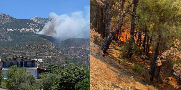 Muğla Datça'da orman yangını! Ekiplerin müdahalesi sürüyor! Valilikten açıklama geldi