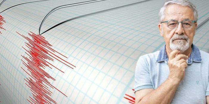 Prof. Dr. Naci Görür, Düzce'de meydana gelen artçı depremleri değerlendirdi! Yüreklere su serpti