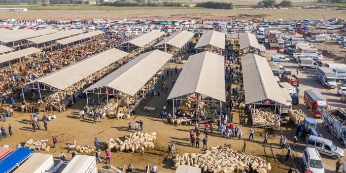 Kurban Bayramı öncesi Sivas'ta tüm hayvan pazarları kapatıldı