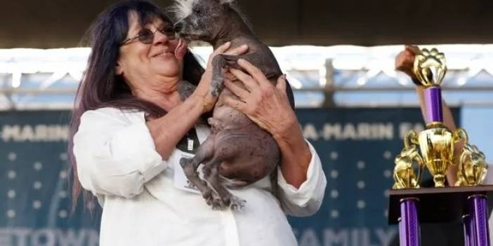 Karşınızda dünyanın en çirkin köpeği!