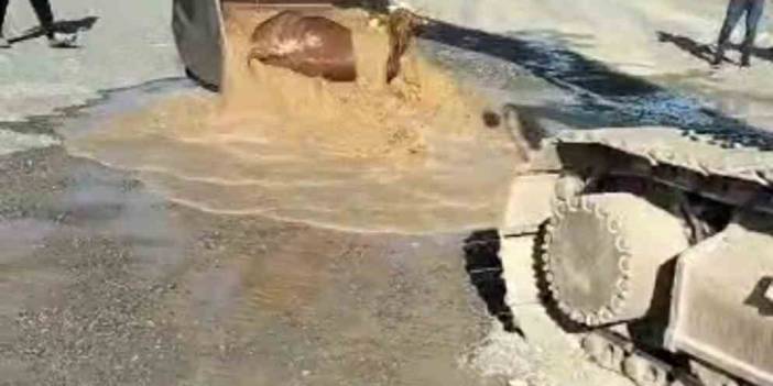 Su kanalından inek çıktı! Kepçe operatörü kurtardı!