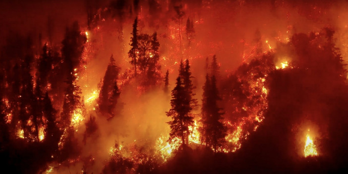 Valilik duyurdu: O illerde 4 ay boyunca yasak olacak! Bunu yapanlara dev ceza