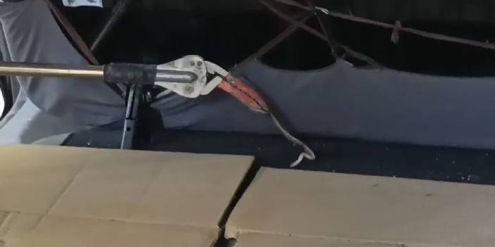 Aracın içine giren yılan korkuttu! Araç sahibi itfaiyeyi seferber etti