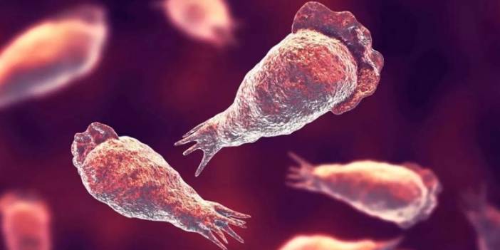 Vücuda burundan giriyor! 2 yaşında çocuk “beyin yiyen amipten” öldü