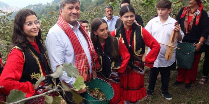 Giresun’da kemençeli, horonlu fındık toplama
