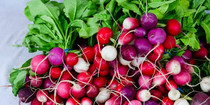 Kırmızı, Beyaz, Siyah ve Pembe Turpun Faydaları Nedir, Aralarında Ne Fark Var?