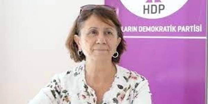 HDP eş genel başkanı Sultan Özcan kimdir, nerelidir, nerde doğdu, mesleği nedir?