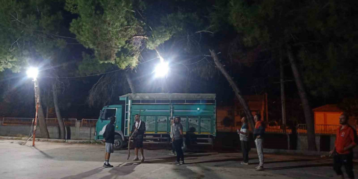 Topu almak isterken ağaçta mahsur kaldı