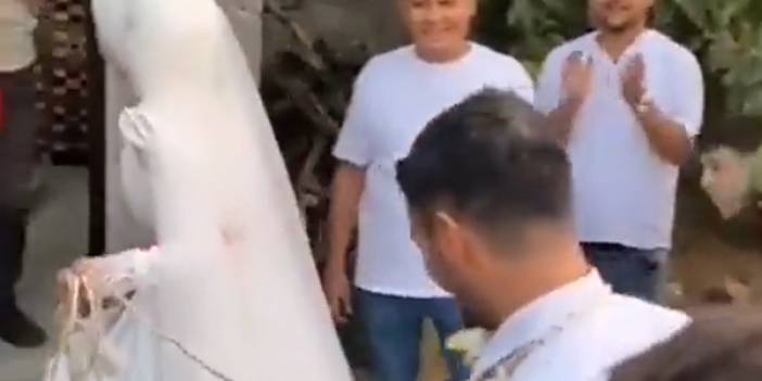 Tam bir rezalet! Bu nasıl bir düğün, ? Gelin damadın boynuna tasma taktı çeke çeke götürdü