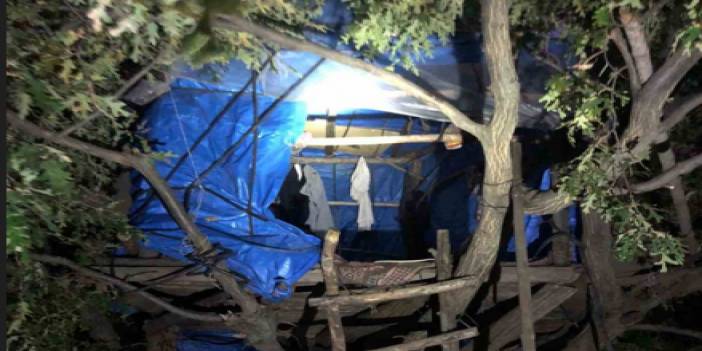 5 yıl hapis cezası alan adam yakalanmamak için ormanda ağacın tepesine ev yaptı ama yine de yakayı ele vermekten kurtulamadı