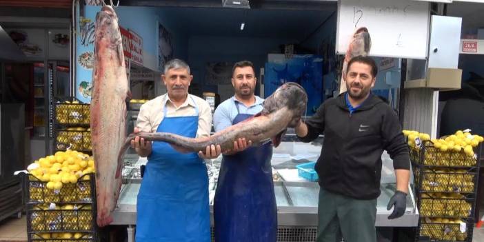 İki kişinin zor taşıdığı balık görenleri hayrete düşürdü: "60 kişilik bir aileyi doyurur"