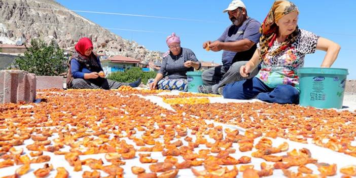Meclisten müjdeli haberler bekliyor! Malatyalı kayısı üreticileri için yeni düzenleme