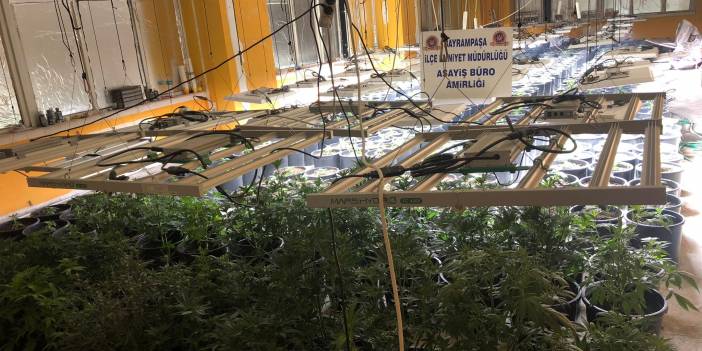 İstanbul'da bir adrese yapılan uyuşturucu operasyonda tam düzenekli Hint keneviri tarlası ortaya çıktı