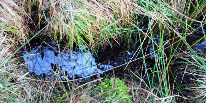 Sivas’ta petrol heyecanı! Köylüler her yerden fışkırdığını açıkladı!