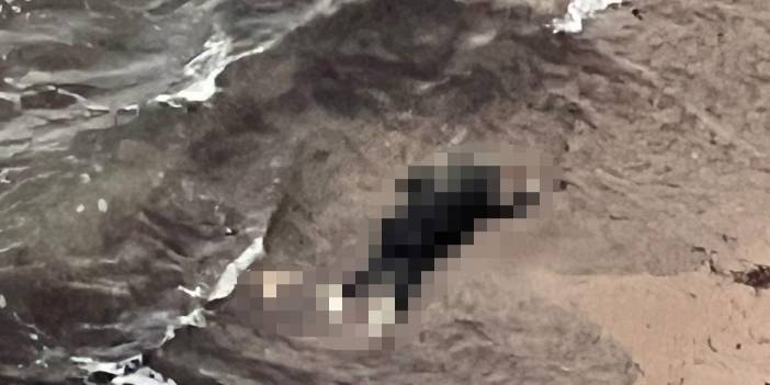 Göçmenleri taşıyan bot devrildi, cansız bedenler kıyıya vurdu!