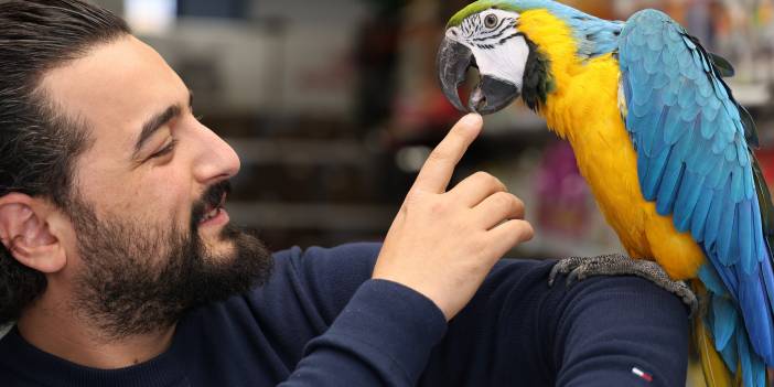 Bu papağan çok havalı! Sahibi 'Dayı' lakaplı papağana bakın ne kadar fiyat biçiyor?