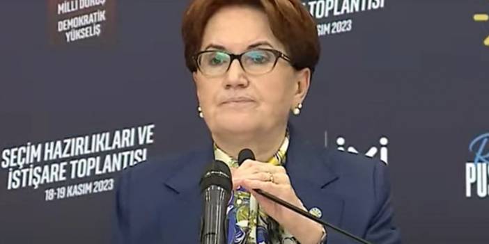 İYİ Partide istifaların ardından sessizliğe gömülen Meral Akşener'den ilk açıklama: 'Demek ki bazı şeyleri anlatmak farz oldu'