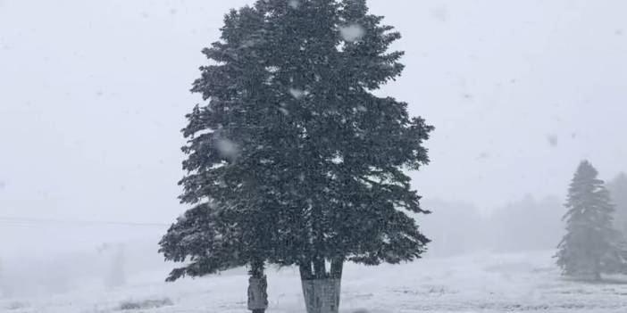 Hava sıcaklığı -12 dereceye düştü! Kış turizminin vazgeçilmezi Uludağ’da kar yağışı başladı